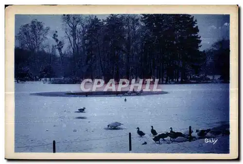 Cartes postales Vincennes En Flanant au Bois De Le Lae Des Minimes en hiver