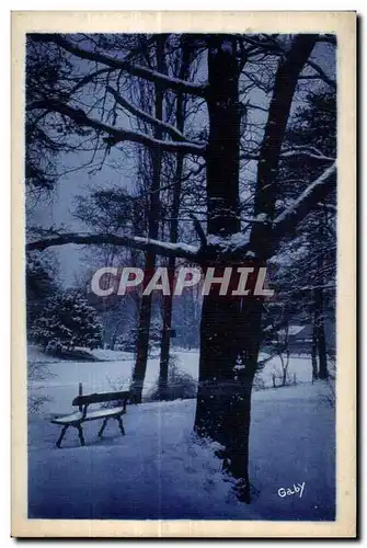 Cartes postales En flanant au bois de Vincennes Pres de la Porte jaune en hiver