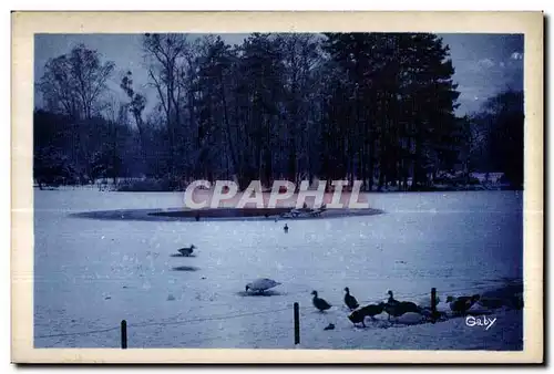 Ansichtskarte AK En flanant au bois de Vincennes Le lac des Minimes en hiver