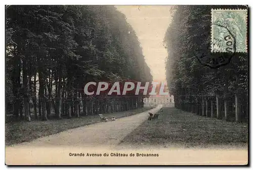 Cartes postales Brevannes Avuenue du Chateau de Brevannes