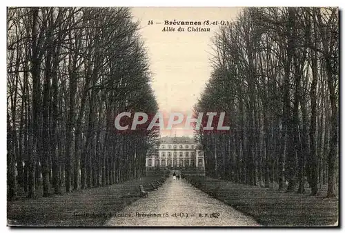 Ansichtskarte AK Brevannes Allee du Chateau