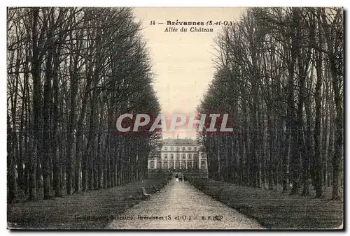 Cartes postales Brevannes Allee du Chateau