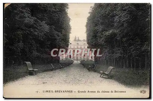 Ansichtskarte AK Limeil Brevannes Grande Avenue du chateau de Brevannes