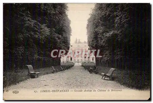 Ansichtskarte AK Limeil Brevannes Grande Avenue du Chateau de Brevannes