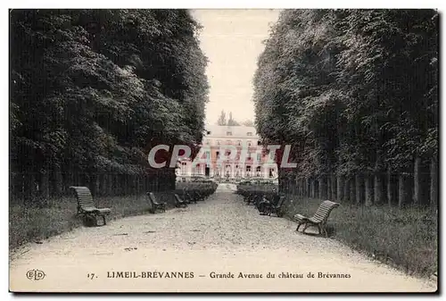 Ansichtskarte AK Limeil Brevannes Grande Avenue du chateau de Brevannes