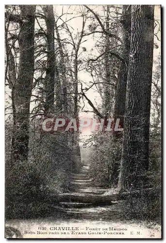 Cartes postales Chaville Foret de Meudon Sous bois pres de l etang Colin Porcher