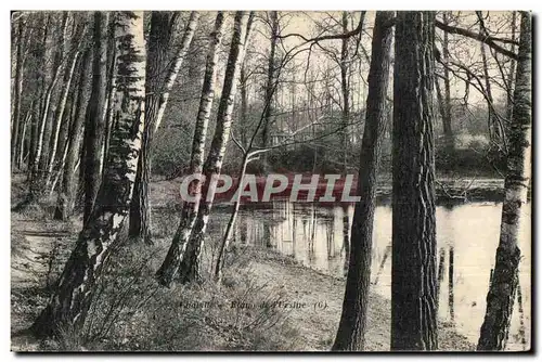 Cartes postales Chaville Etang de l Ursine