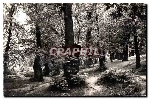 Cartes postales Montmorency (S et O) La Chataigneraie