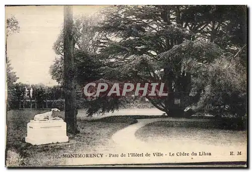 Ansichtskarte AK Montmorency Parc de I Hotel de Ville Le Cedre du Liban Lebanon