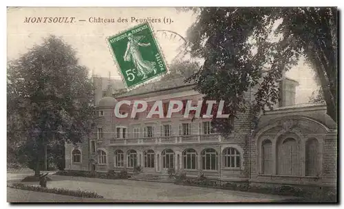 Cartes postales Montsoult Chateau des Peupliers (r)