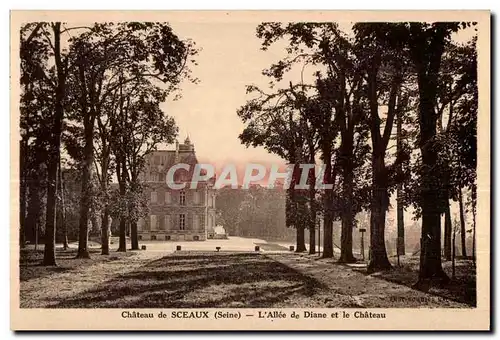 Cartes postales Chateau de Sceaux (Seine) L Alle de Diane et le Chateau