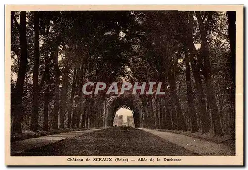 Ansichtskarte AK Chateau de Sceaux (Seine) Allee de la Duchesse