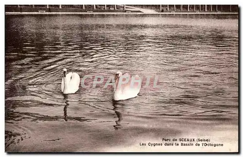 Ansichtskarte AK Sceaux Parc De (Seine) Les Cygnes Dans le Bassin De L Octogone Swan