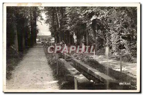 Cartes postales SAINT CLOUD L Allee des Goulottes