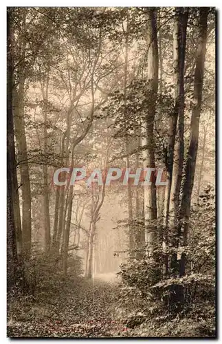 Cartes postales Parc Saint Cloud