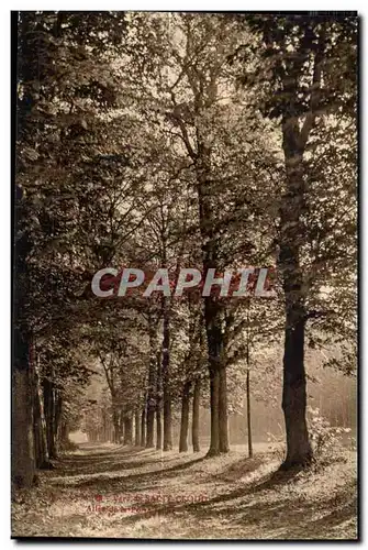 Cartes postales Saint Cloud Allee de Parc