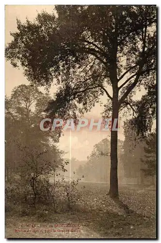 Cartes postales Parc de Saint Cloud