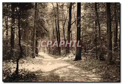 Cartes postales Pare de Saint Cloud Allee de