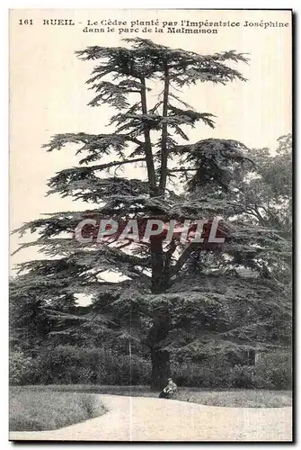 Cartes postales Rueil Le Gedve plante pab i Impevatvice Josephine