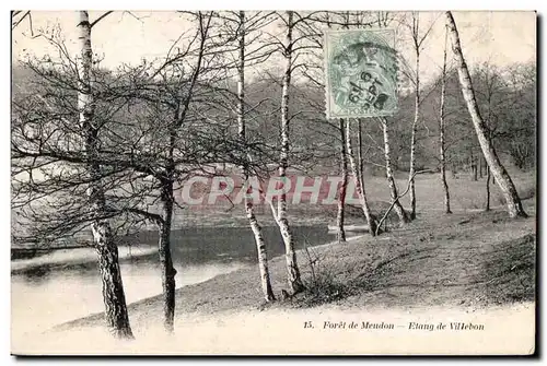 Cartes postales Meudon Foret De Etang de Villebon