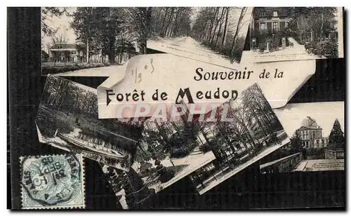 Cartes postales Meudon Foret De Souvenir