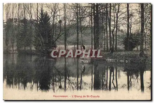 Cartes postales Vaucresson L Etang de St Cucufa