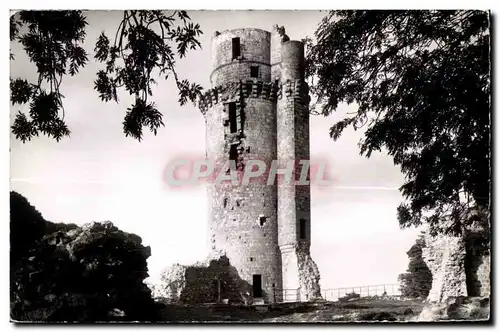 Ansichtskarte AK Montlhery (S et O) La tour les ruines d un cheteau editie de Demantele en