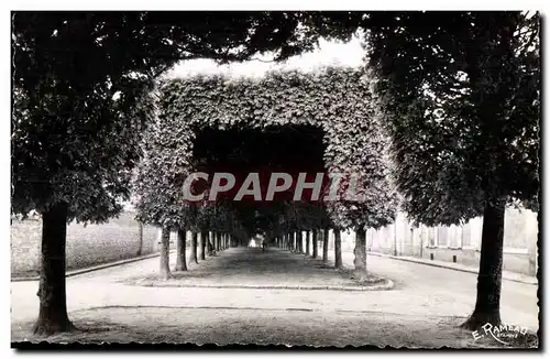 Cartes postales moderne Milly Le boulevard du Nord