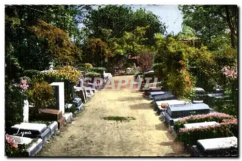 Cartes postales Asnieres (Seine) Le Cimetiere des Chiens l allee Centrale