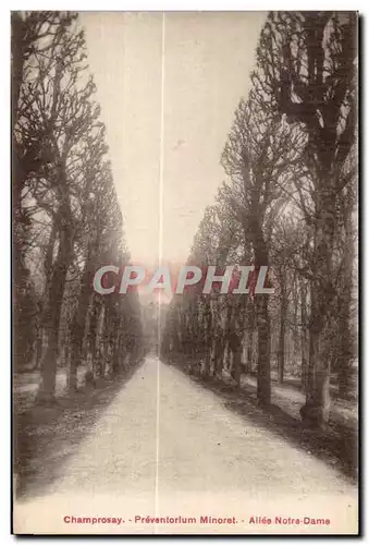 Cartes postales Champrosay Preventorium Minoret Allee Notra Dame