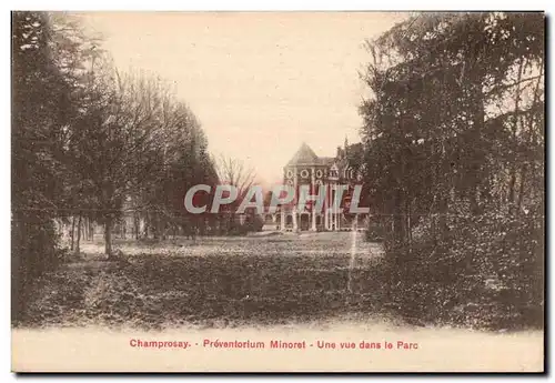 Cartes postales Champrosay Preventorium Minoret Une vue dans le Parc