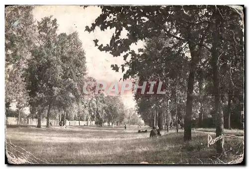 Cartes postales Images de France Montgeron (S et O) La Pelouse