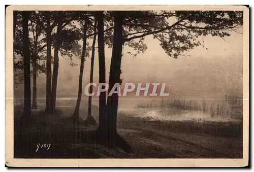 Etang de Villebon - Matinee d Automne - Ansichtskarte AK