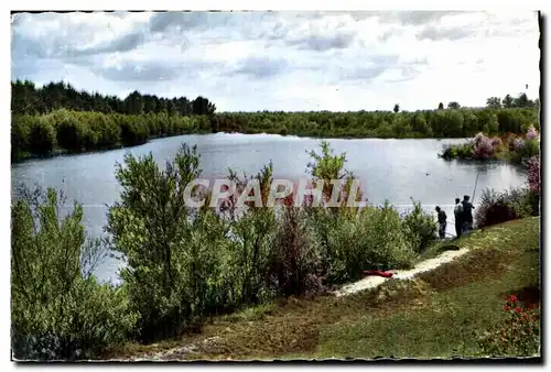 Sainte Genevieve des Bois - L Etang de Fleury - Ansichtskarte AK