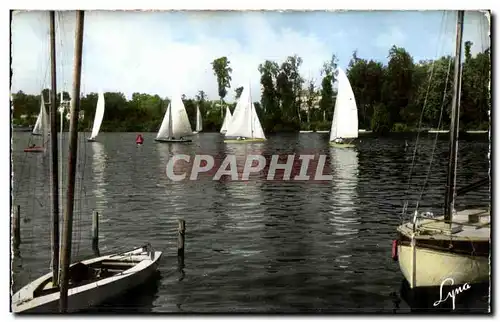 Bords de Seine - Les Voiliers - Sailboat - Ansichtskarte AK