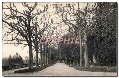 Cartes postales Mirambeau La Chateau Allees des Platanes