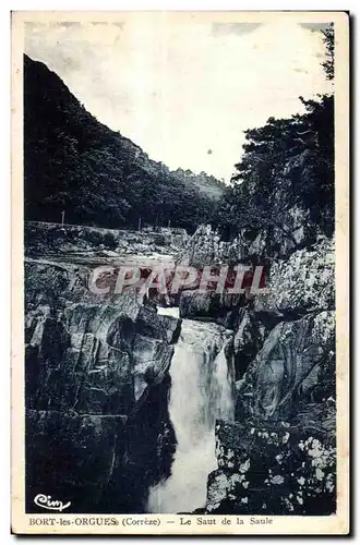 Ansichtskarte AK Bort les Orgues (Correze) Le Saut de la Saule