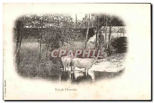 Vue de l Aurence - vaches - cows - Cartes postales