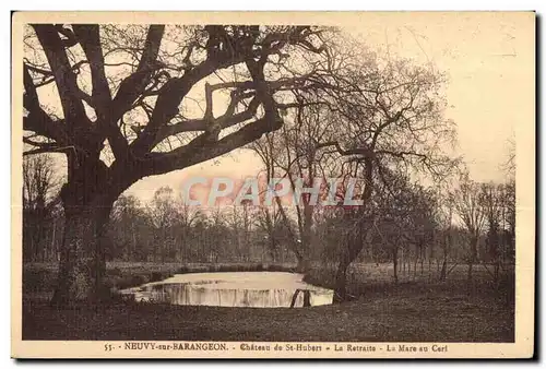 Neuvy sur Barangeon - Chateau de Saint Hubert La retraite La mare au cerf - Ansichtskarte AK