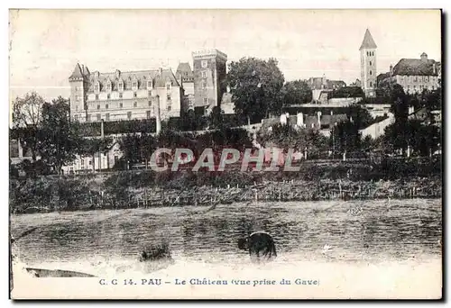 Cartes postales Pau Le Chateau (vue prise du Gave)