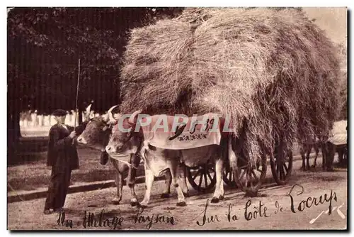 Ansichtskarte AK Toute la France Editions Jove Pau (B P) Terroir pyreneen Un attelage paysan Sur la cote de Locry