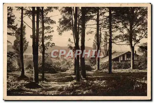 Ansichtskarte AK La Douce France Hendaye (Basses Pyrenees) La Bois de Saskoenea