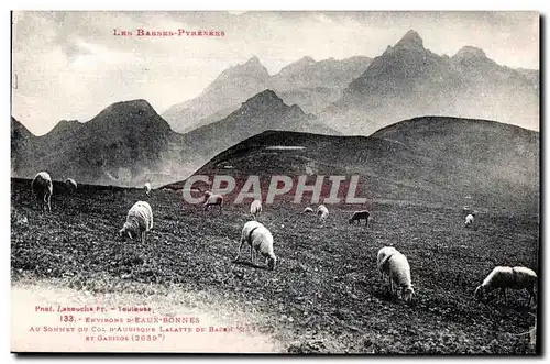 Cartes postales Environs D Eaux Bonnes