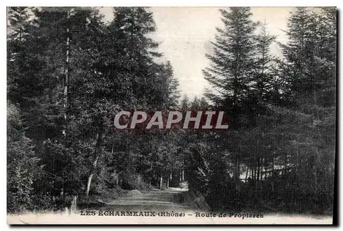 Les Echarmeaux - Route de Propteres - Cartes postales