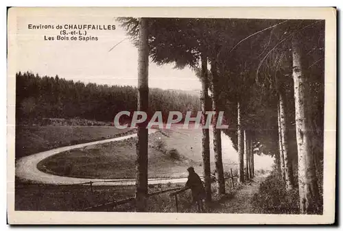 Chauffailles - Les Bois de Sapins - Ansichtskarte AK