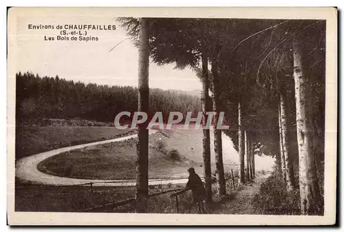 Chauffailles - Les Bois de Sapins - Cartes postales