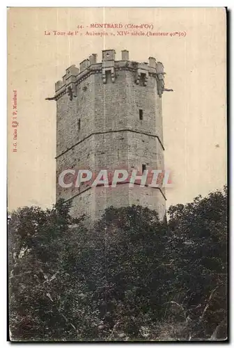 Cartes postales Montbard (Cote-d Or) La Tour de I Aubespin