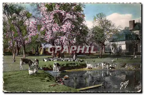 Cartes postales moderne La Normandie A I abreuvoir