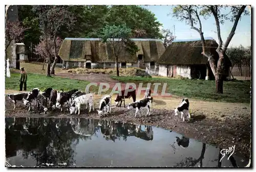 Moderne Karte La Normandie Aux abords de la mare Vaches