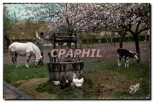 Moderne Karte La Normandie Le Vieux Puits Folklore Cheval Horse